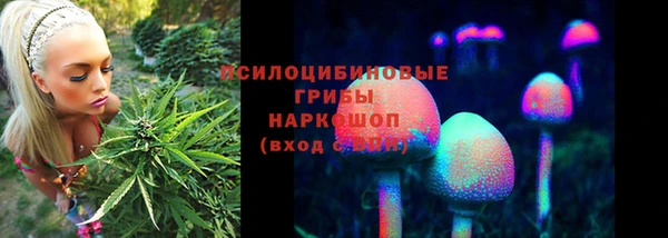 гидра Вязьма