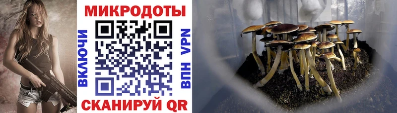Галлюциногенные грибы ЛСД  Кстово 