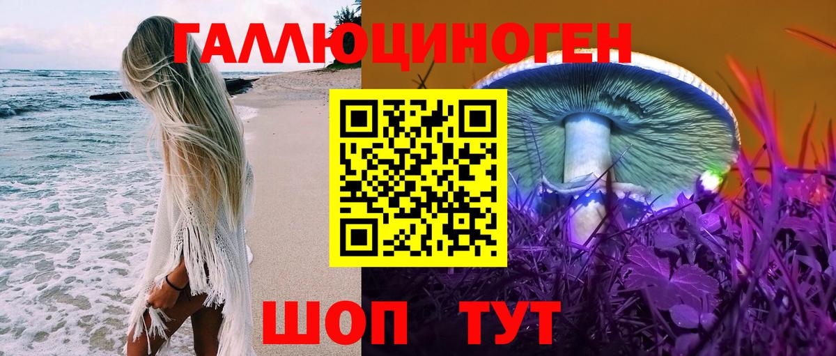 Псилоцибиновые грибы Cubensis  Вход с VPN  Кстово 