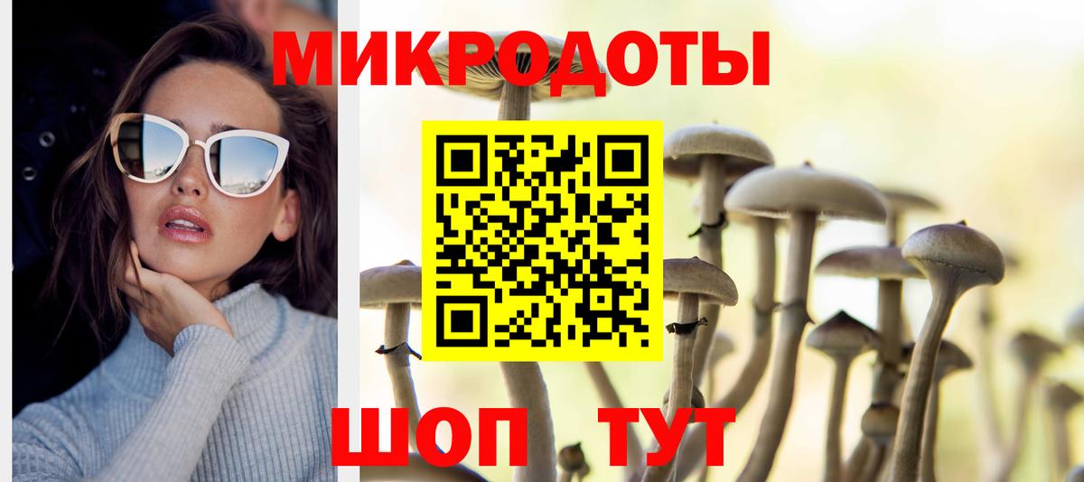 Псилоцибиновые грибы Cubensis Кстово